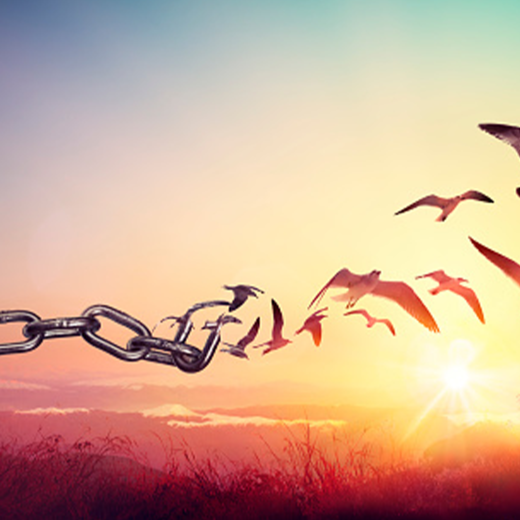 Jaundice in a new born / child